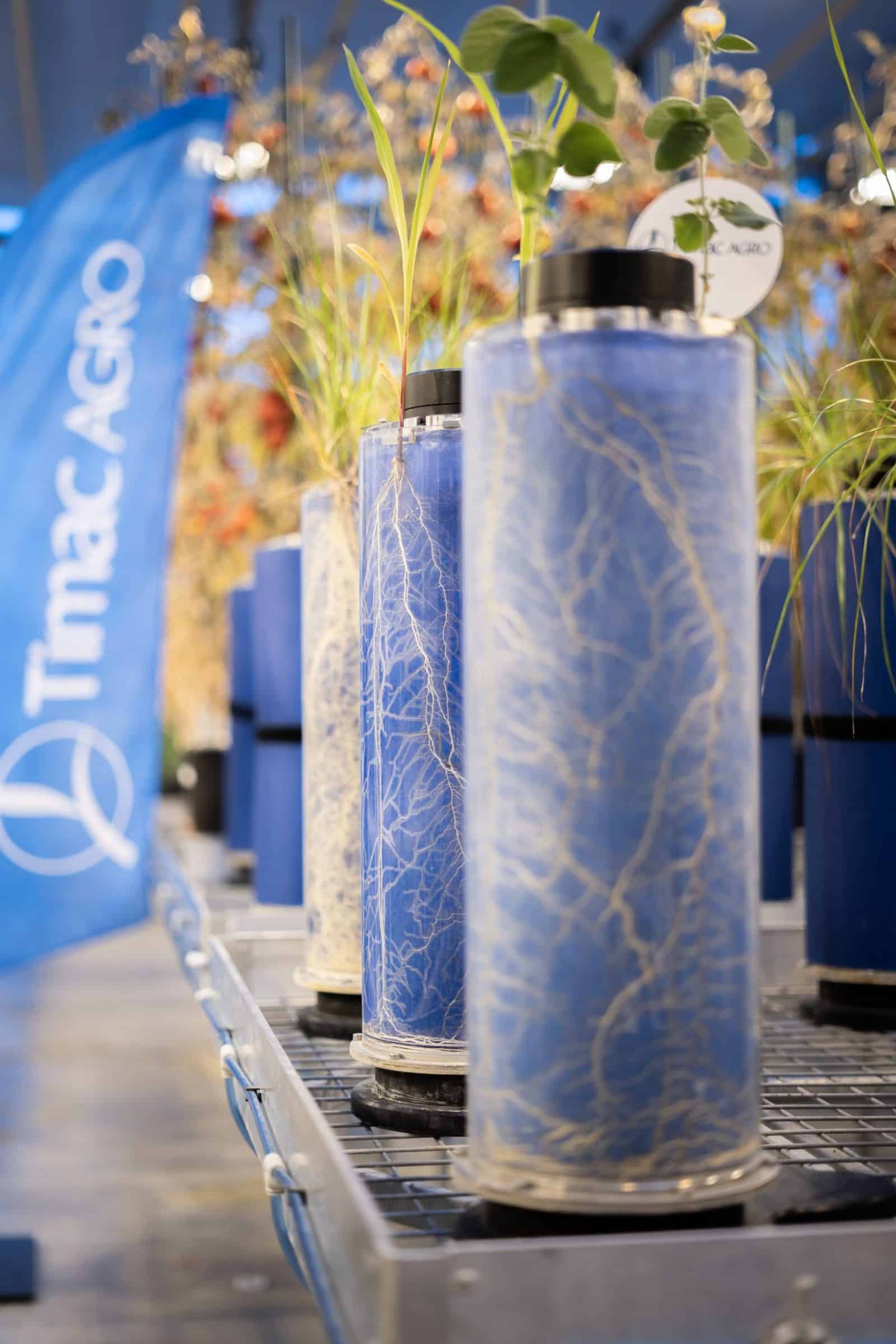 Timac Blue TIMAC AGRO Canada - pioneer in soil, plant, and animal nutrition.