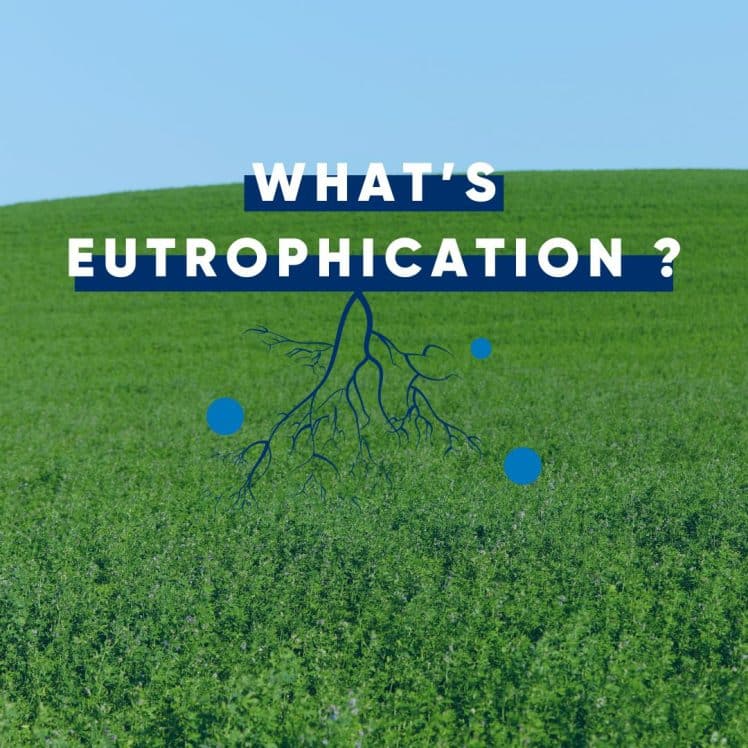 what is eutrophication
