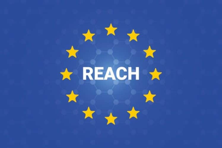reach 768x512