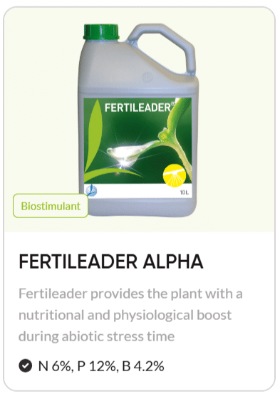 biostimulant,biostimulant selection,crop biostimulants,agriculture,crop yield optimization,root development,early season crop growth,plant stress,abiotic stress protection,how to choose biostimulant,improving crop resilience,timacagro,fertiactyl,fertileader,yield support,solid foundation,protecting against abiotic stress,maximizing yield potential,root to leaves,atc