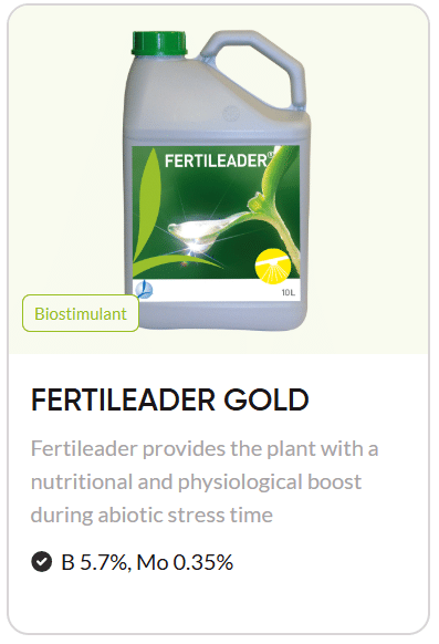 biostimulant,biostimulant selection,crop biostimulants,agriculture,crop yield optimization,root development,early season crop growth,plant stress,abiotic stress protection,how to choose biostimulant,improving crop resilience,timacagro,fertiactyl,fertileader,yield support,solid foundation,protecting against abiotic stress,maximizing yield potential,root to leaves,atc