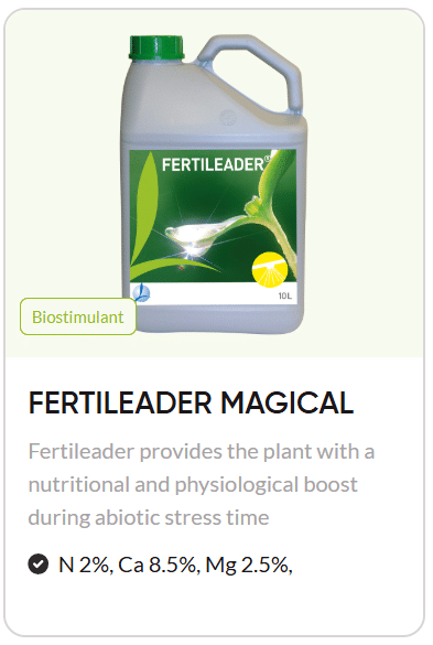 biostimulant,biostimulant selection,crop biostimulants,agriculture,crop yield optimization,root development,early season crop growth,plant stress,abiotic stress protection,how to choose biostimulant,improving crop resilience,timacagro,fertiactyl,fertileader,yield support,solid foundation,protecting against abiotic stress,maximizing yield potential,root to leaves,atc