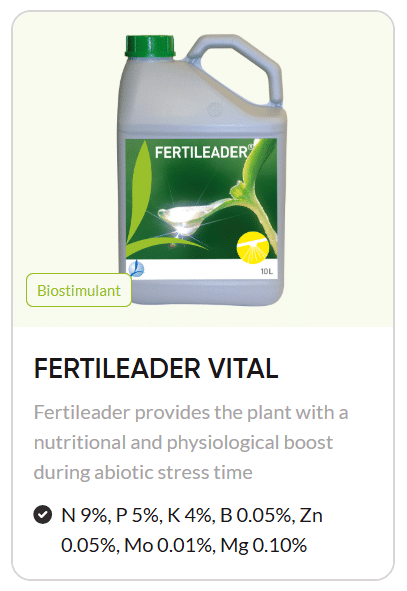 biostimulant,biostimulant selection,crop biostimulants,agriculture,crop yield optimization,root development,early season crop growth,plant stress,abiotic stress protection,how to choose biostimulant,improving crop resilience,timacagro,fertiactyl,fertileader,yield support,solid foundation,protecting against abiotic stress,maximizing yield potential,root to leaves,atc
