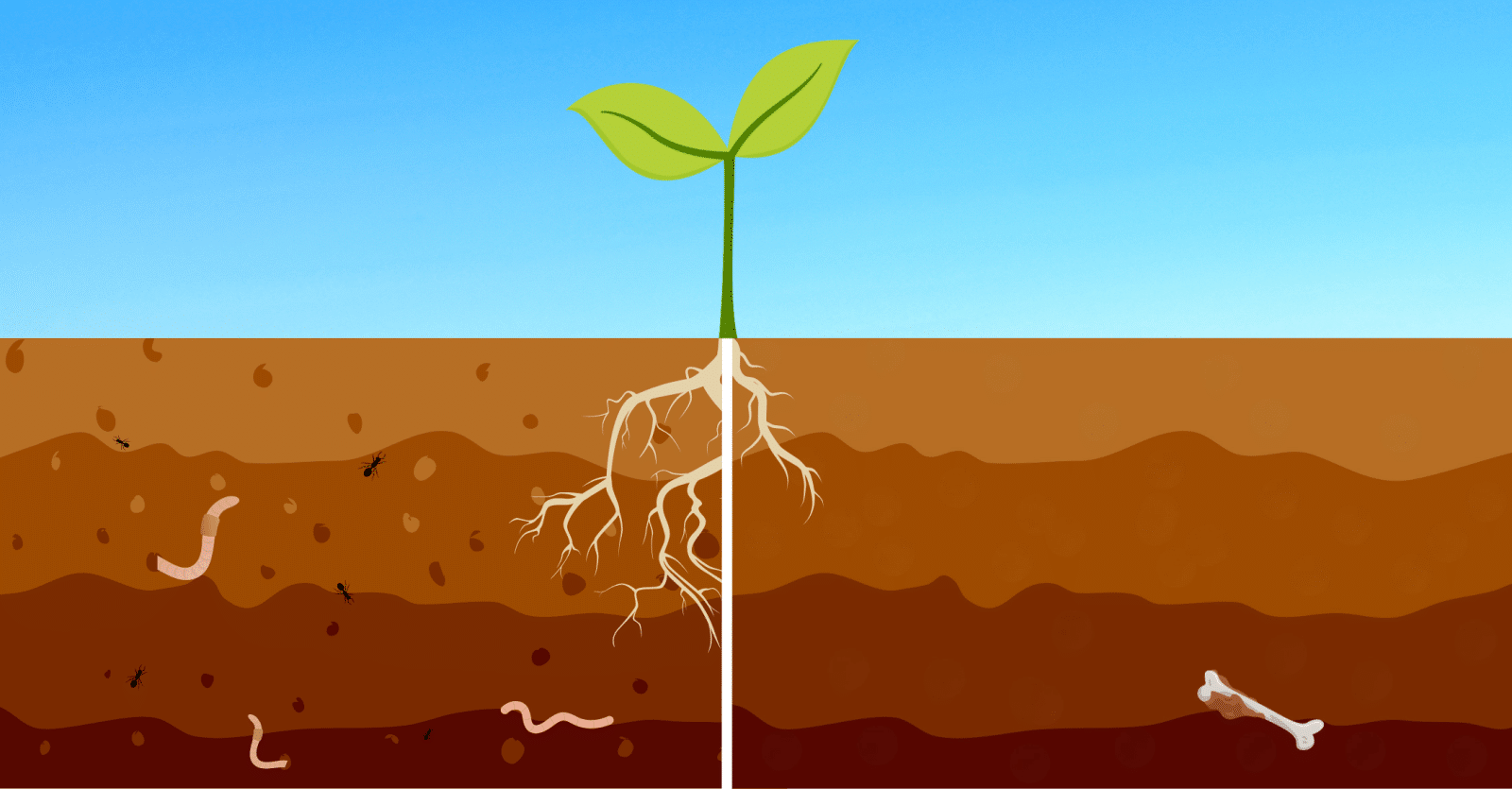 soil compaction